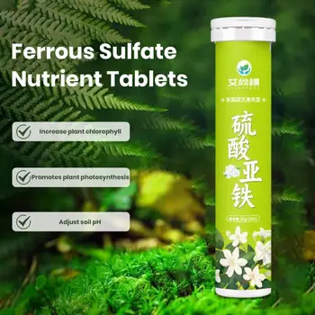 22Pcs Vas-Szulfát Műtrágya Tabletta Növények Növekedési Vas Kiegészítő Univerzális Lassan felszabaduló Tápanyag Tabletta