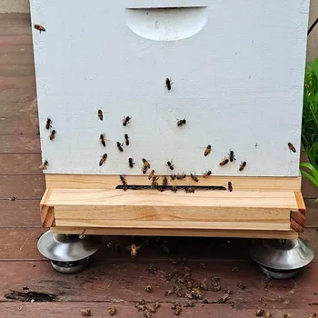 4Feet/Set Hangya Bizonyíték a Kaptár Méter Rozsdamentes Acél Méhkas Bázis Méhészeti Méhkas Állni a Méhész a Méhészeti Eszközök, Berendezések